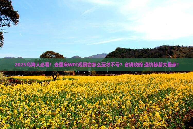 乌海市到重庆wfc观景台攻略