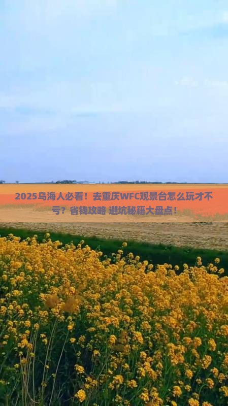 乌海市到重庆wfc观景台攻略