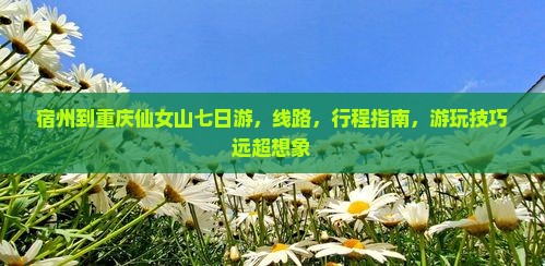 宿州到重庆仙女山七日游