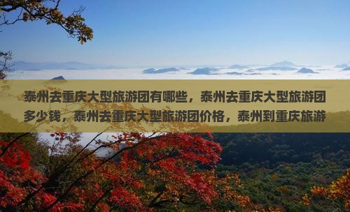 泰州去重庆大型旅游团