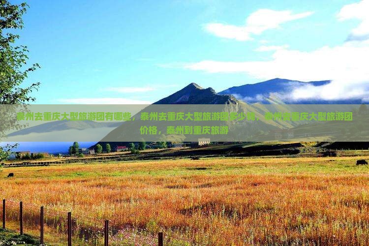 泰州去重庆大型旅游团