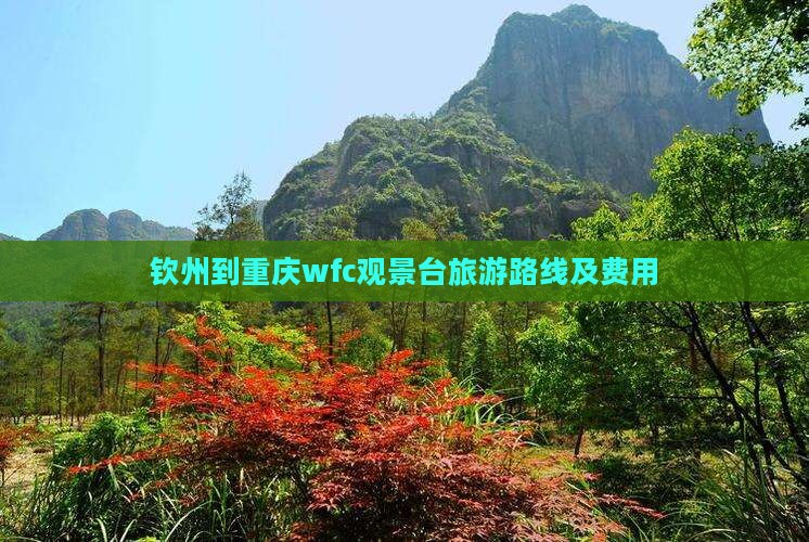 钦州到重庆wfc观景台旅游