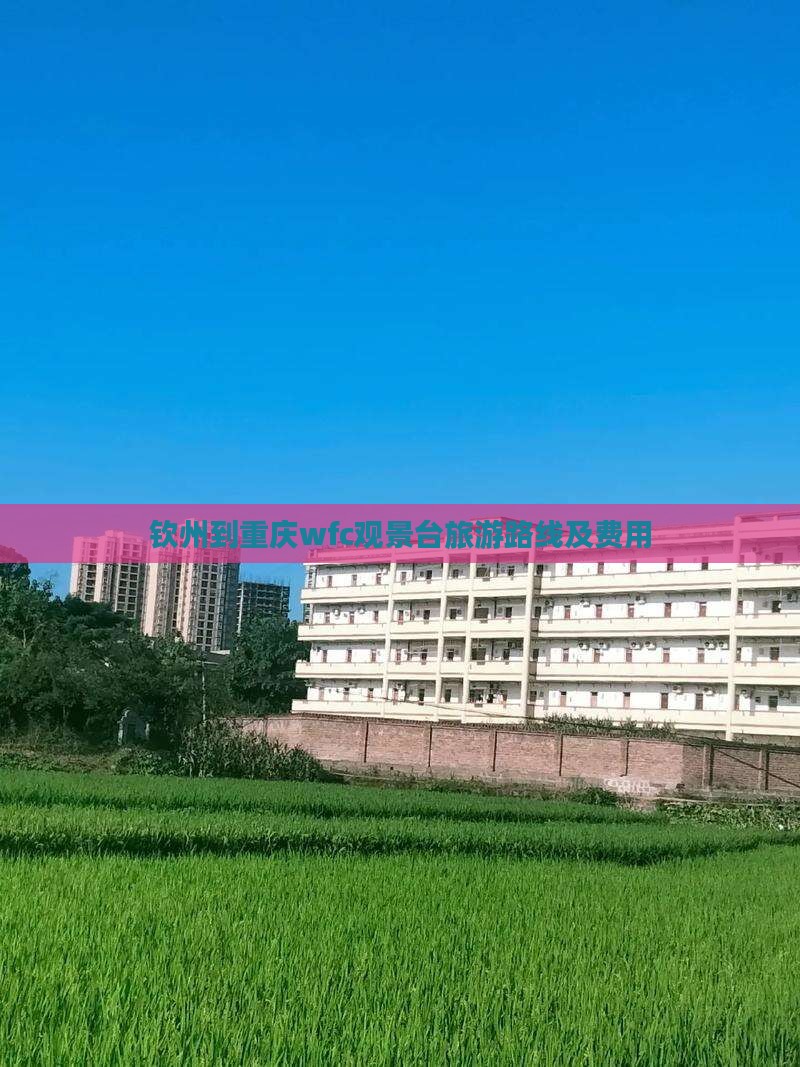 钦州到重庆wfc观景台旅游