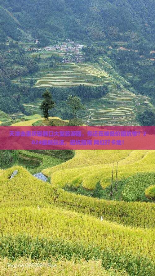 天津去重庆磁器口大型旅游团