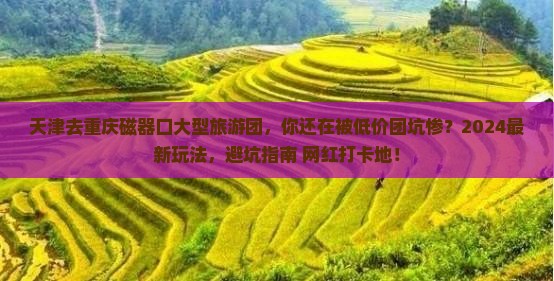 天津去重庆磁器口大型旅游团
