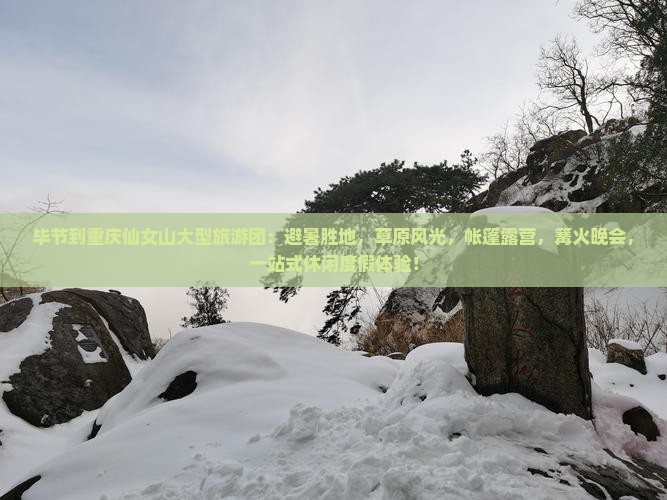毕节到重庆仙女山大型旅游团