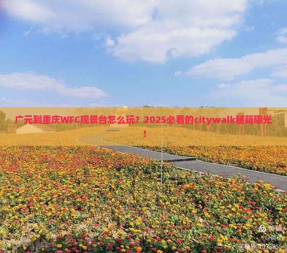 广元到重庆wfc观景台旅游