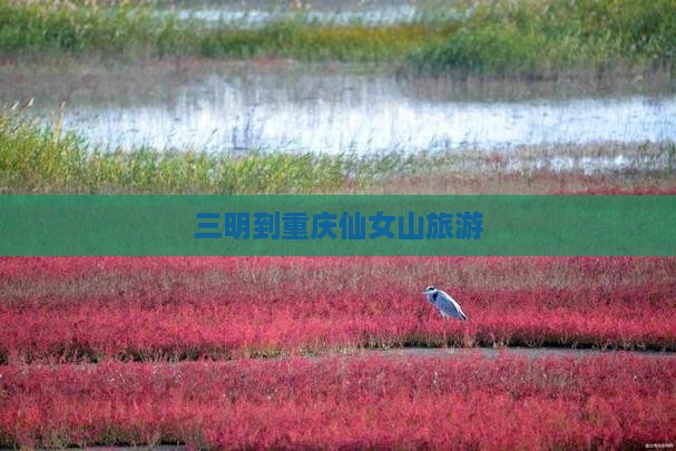 三明到重庆仙女山旅游