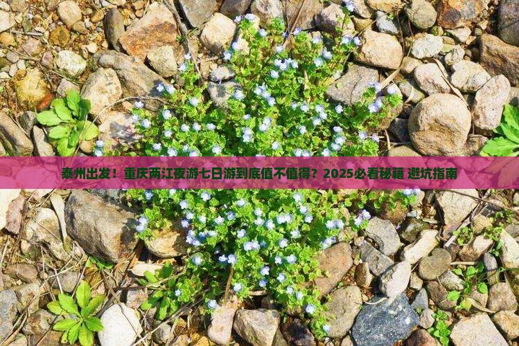 泰州去重庆两江夜游七日游