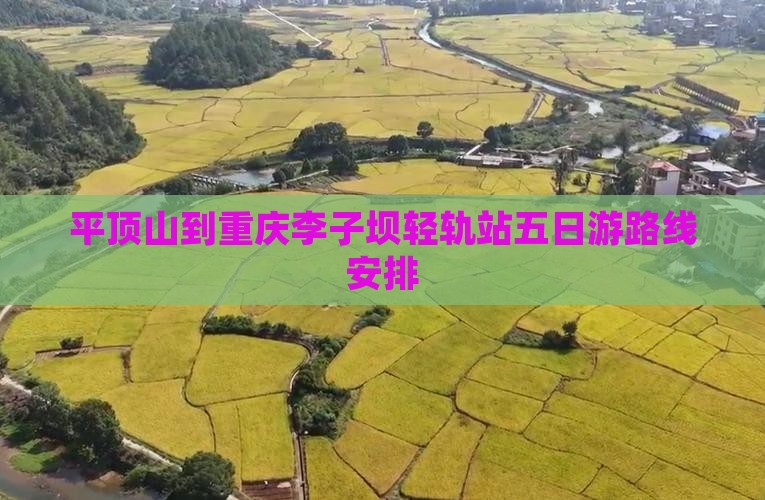 平顶山到重庆李子坝轻轨站五日游