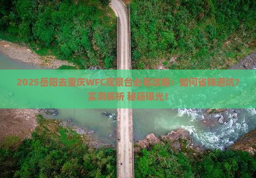 岳阳去重庆wfc观景台景点