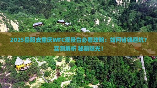 岳阳去重庆wfc观景台景点