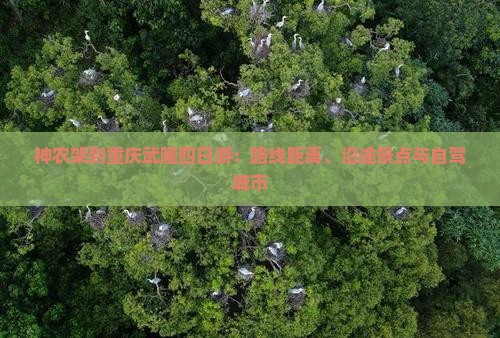 神农架到重庆武隆四日游：路线距离、沿途景点与自驾城市