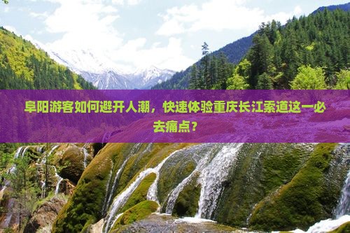 阜阳游客如何避开人潮，快速体验重庆长江索道这一必去痛点？