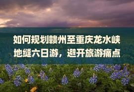 如何规划赣州至重庆龙水峡地缝六日游，避开旅游痛点，享受全新沉浸式体验？