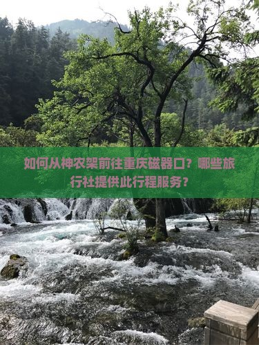如何从神农架前往重庆磁器口？哪些旅行社提供此行程服务？