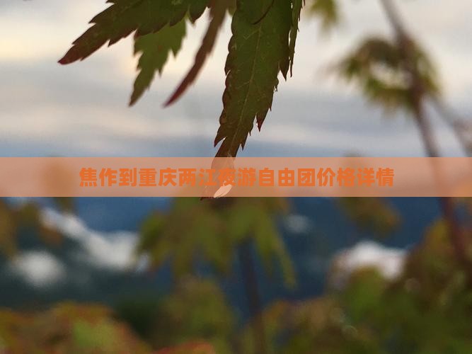 焦作到重庆两江夜游自由团价格详情