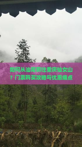 如何从汕尾前往重庆仙女山？门票购买攻略与优惠痛点解析