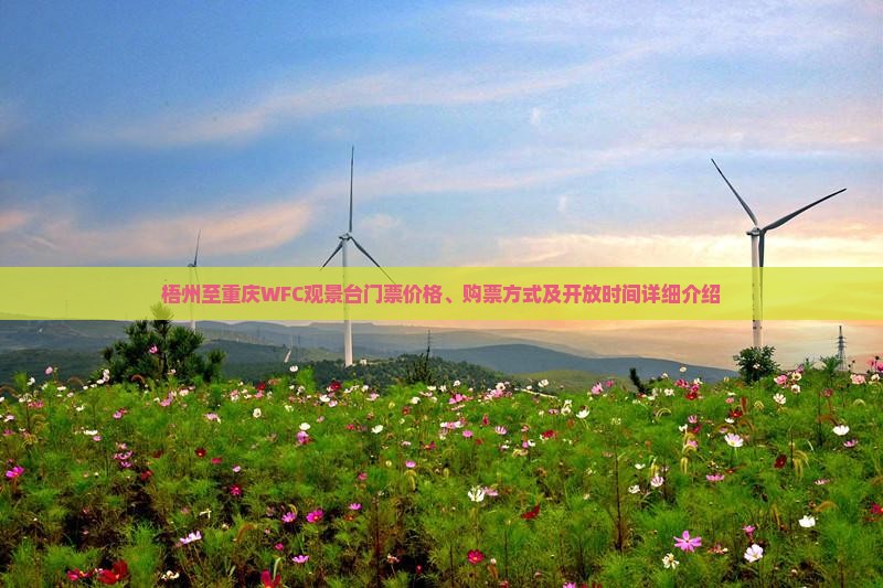 梧州至重庆WFC观景台门票价格、购票方式及开放时间详细介绍