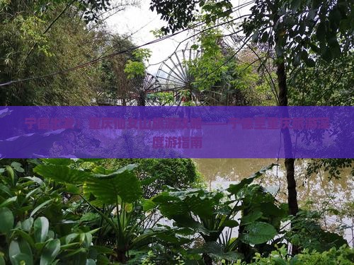 宁德出发：重庆仙女山旅游攻略——宁德至重庆旅游深度游指南