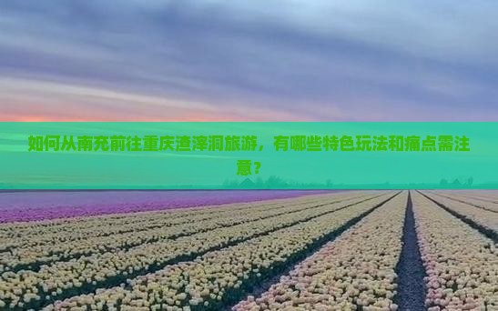 如何从南充前往重庆渣滓洞旅游，有哪些特色玩法和痛点需注意？