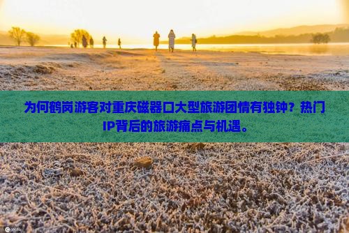 为何鹤岗游客对重庆磁器口大型旅游团情有独钟？热门IP背后的旅游痛点与机遇。