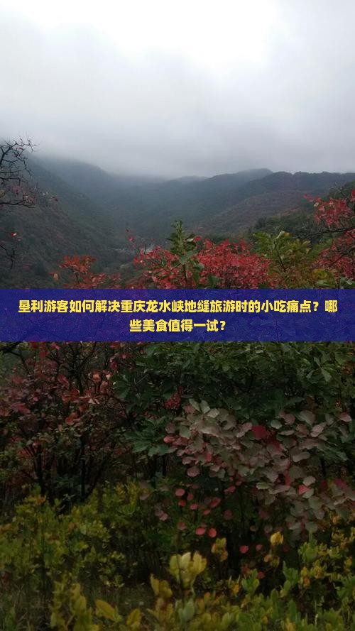 垦利游客如何解决重庆龙水峡地缝旅游时的小吃痛点？哪些美食值得一试？