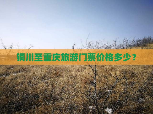 铜川至重庆旅游门票价格多少？