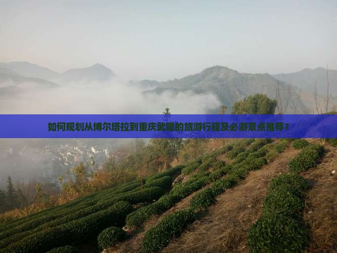 如何规划从博尔塔拉到重庆武隆的旅游行程及必游景点推荐？