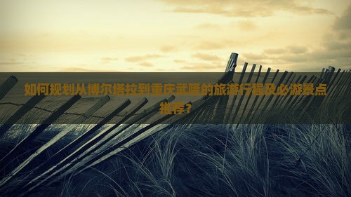 如何规划从博尔塔拉到重庆武隆的旅游行程及必游景点推荐？