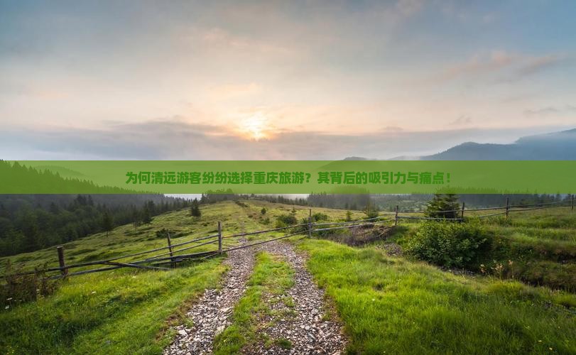 为何清远游客纷纷选择重庆旅游？其背后的吸引力与痛点！