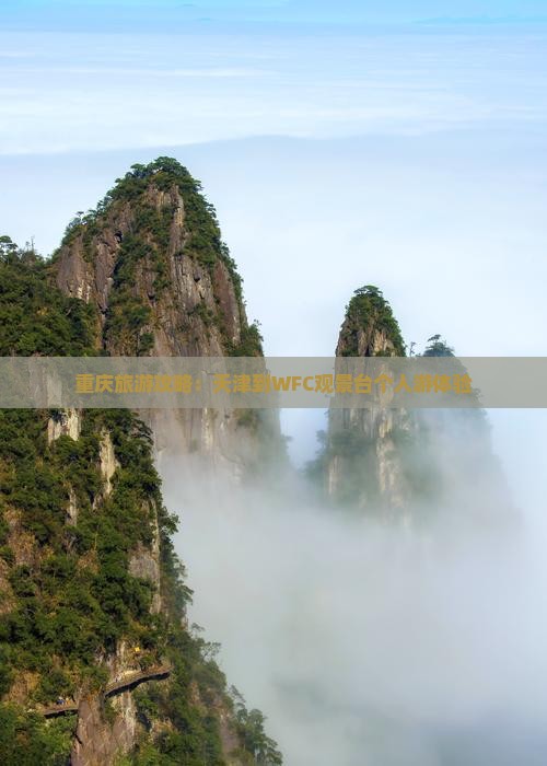 重庆旅游攻略：天津到WFC观景台个人游体验