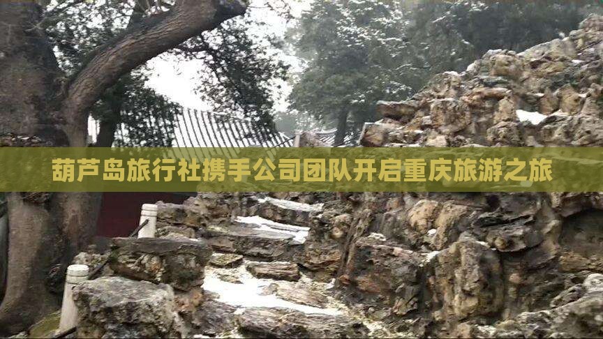 葫芦岛旅行社携手公司团队开启重庆旅游之旅