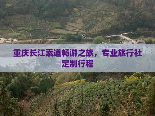 重庆长江索道畅游之旅，专业旅行社定制行程