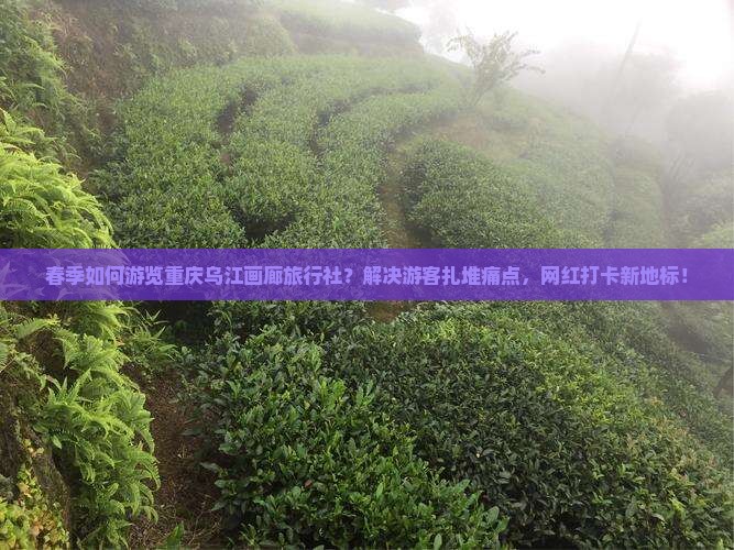 春季如何游览重庆乌江画廊旅行社？解决游客扎堆痛点，网红打卡新地标！