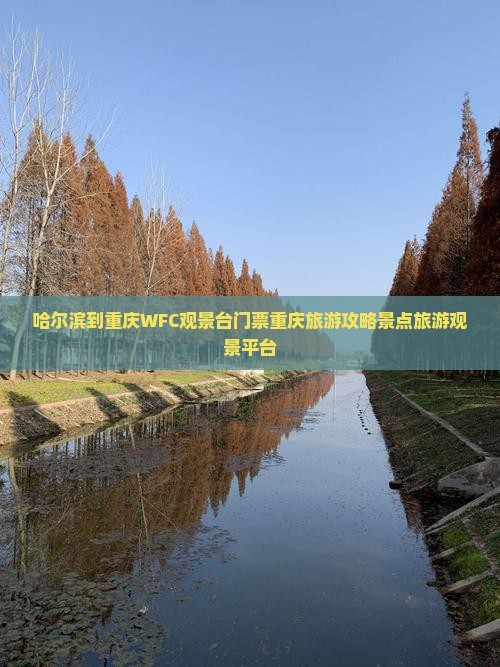 哈尔滨到重庆WFC观景台门票重庆旅游攻略景点旅游观景平台