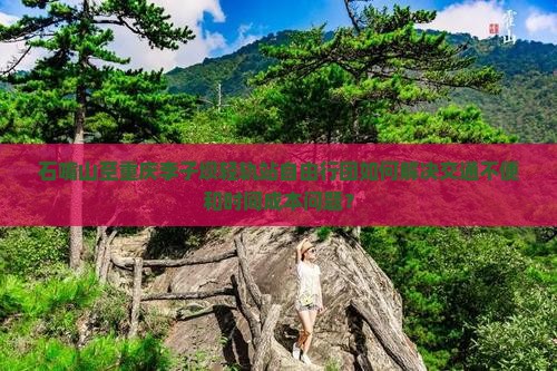 石嘴山至重庆李子坝轻轨站自由行团如何解决交通不便和时间成本问题？