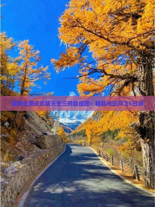 醴陵去重庆武隆天生三桥自由团：精品纯玩双飞5日游