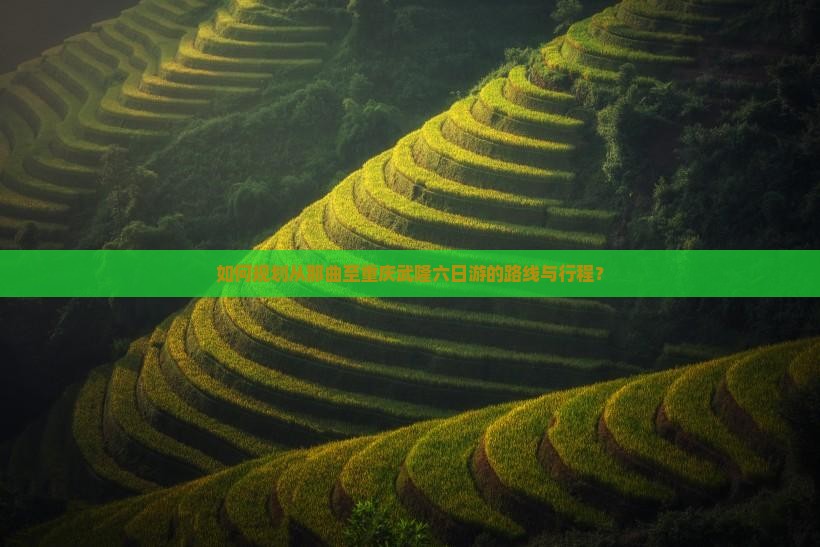 如何规划从那曲至重庆武隆六日游的路线与行程？