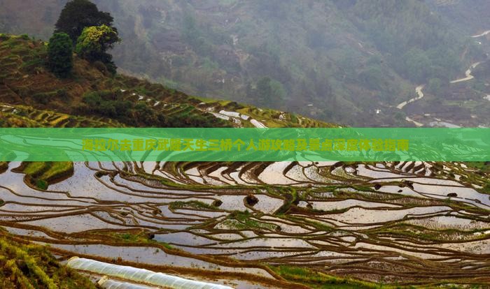 海拉尔去重庆武隆天生三桥个人游攻略及景点深度体验指南