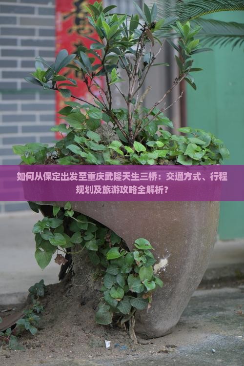 如何从保定出发至重庆武隆天生三桥：交通方式、行程规划及旅游攻略全解析？