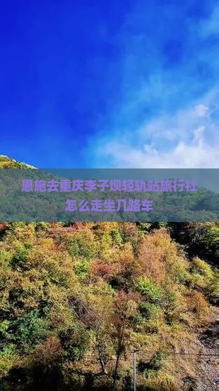 恩施去重庆李子坝轻轨站旅行社怎么走坐几路车