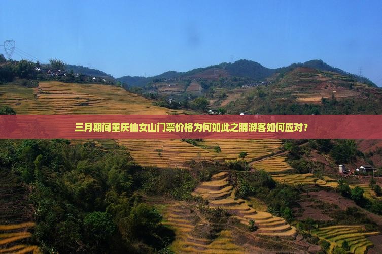 三月期间重庆仙女山门票价格为何如此之脯游客如何应对？