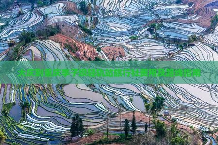 大庆到重庆李子坝轻轨站旅行社费用及路线指南