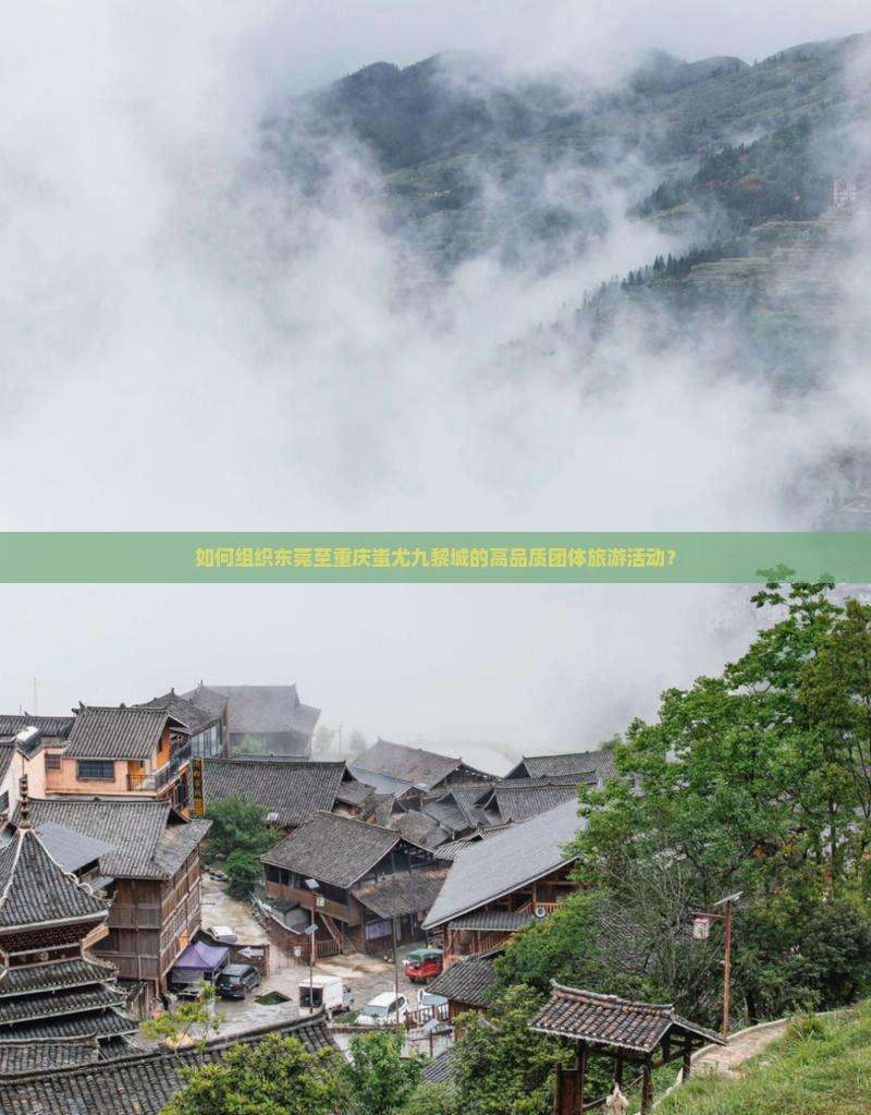 如何组织东莞至重庆蚩尤九黎城的高品质团体旅游活动？