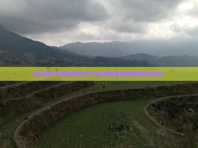 如何组织东莞至重庆蚩尤九黎城的高品质团体旅游活动？