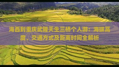 海西到重庆武隆天生三桥个人游：海拔高度、交通方式及距离时间全解析