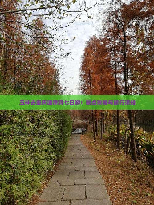 玉林去重庆渣滓洞七日游：景点攻略与旅行须知