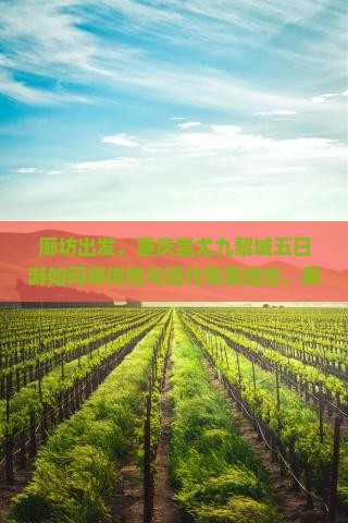 廊坊出发，重庆蚩尤九黎城五日游如何将传统与现代完美结合，解决游客哪些痛点问题？