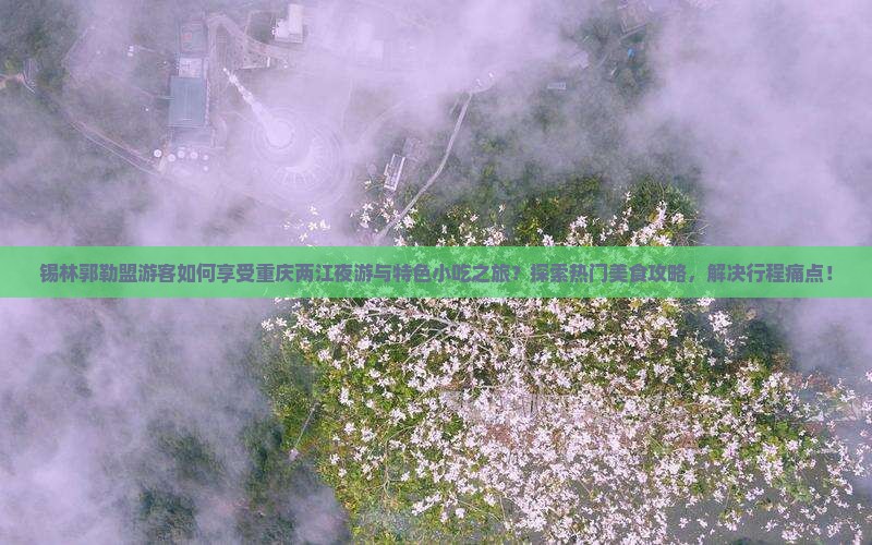 锡林郭勒盟游客如何享受重庆两江夜游与特色小吃之旅？探索热门美食攻略，解决行程痛点！